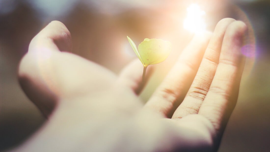 Schmerztherapie mit Hypnose begleiten – HypnoseRaum Aschaffenburg